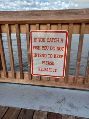 Gulf State Park Pier by null