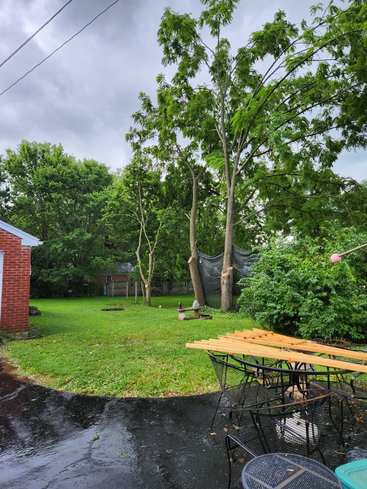 Central Kentucky Tree Service - tree service in Versailles, KY