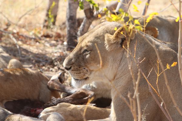 Overseas Adventure Travel by null