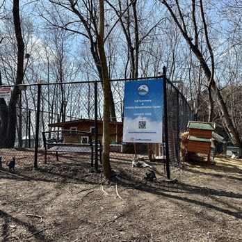 Roosevelt Island - Cat and wildlife sanctuary 3/2025 - Parks Near Me Roosevelt Island - Cat and wildlife sanctuary 3/2025 - Parks Near Me