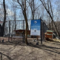 Roosevelt Island - Cat and wildlife sanctuary 3/2025