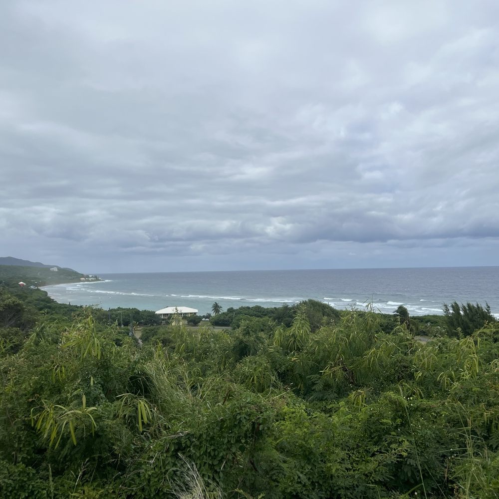 Equus Rides - Horseback Riding Near Me - Christiansted, Virgin Islands Equus Rides - Horseback Riding Near Me - Christiansted, Virgin Islands