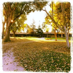 Jason's Courtyard Cafe - Typical walk to Jason's coffee cart. Gorgeous. {Jan '13}