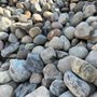 Photo of Metrolina Mulch