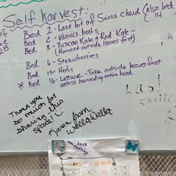 Tiny Tranquility - Crop list in greenhouse building