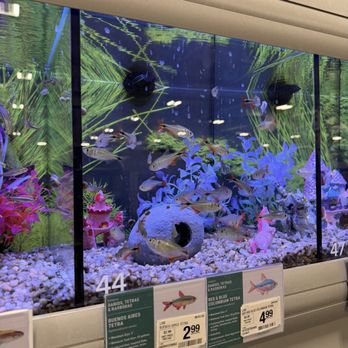 PetSmart - Pet Groomers Near Me - Hoover, Alabama