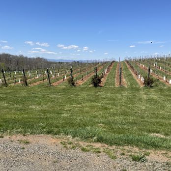 Barboursville Vineyards - Wineries Near Me - Barboursville, Virginia Barboursville Vineyards - Wineries Near Me - Barboursville, Virginia