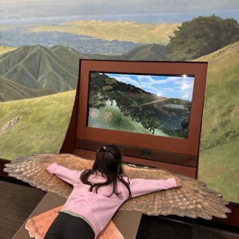 Lindsay Wildlife Experience - Interactive flying - Museums Near Me - Walnut Creek, California Lindsay Wildlife Experience - Interactive flying - Museums Near Me - Walnut Creek, California