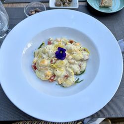 Remédio Santo Restaurante - Gnochis Em Molho De Lima E Mostarda