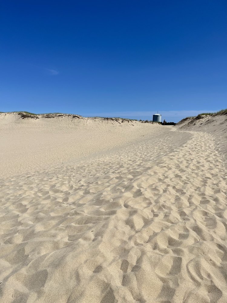 Dune Shacks Trail Logo