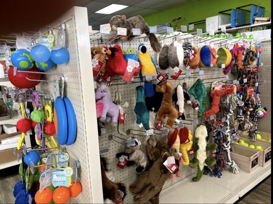 Whole Pet - Springdale