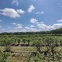 Photo of Stateline Blueberries