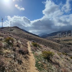PCT South via Tehachapi Willow Springs Road