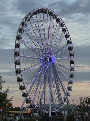The Seattle Great Wheel by null