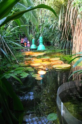 Palmiarnia Poznańska by null