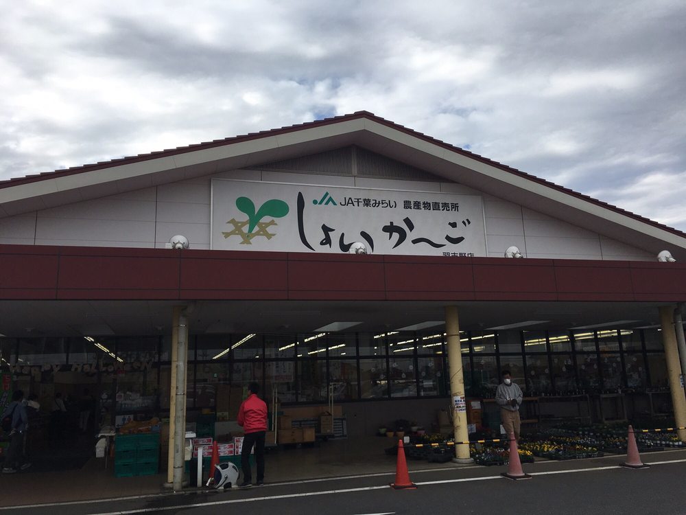 当時のメディア報道・掲載写真