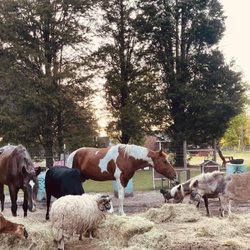Horse Crossing Farm