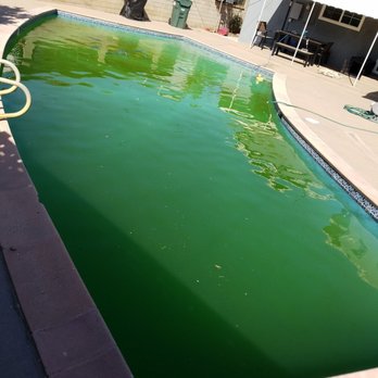 Kobel Pool Service - The swamp - Pool & Hot Tub Service Near Me