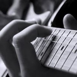 Aardvark Music & Culture