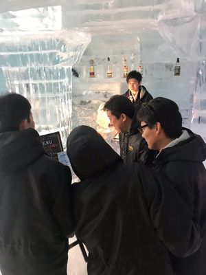 Asahidake Onsen Hotel Deer Valley by null