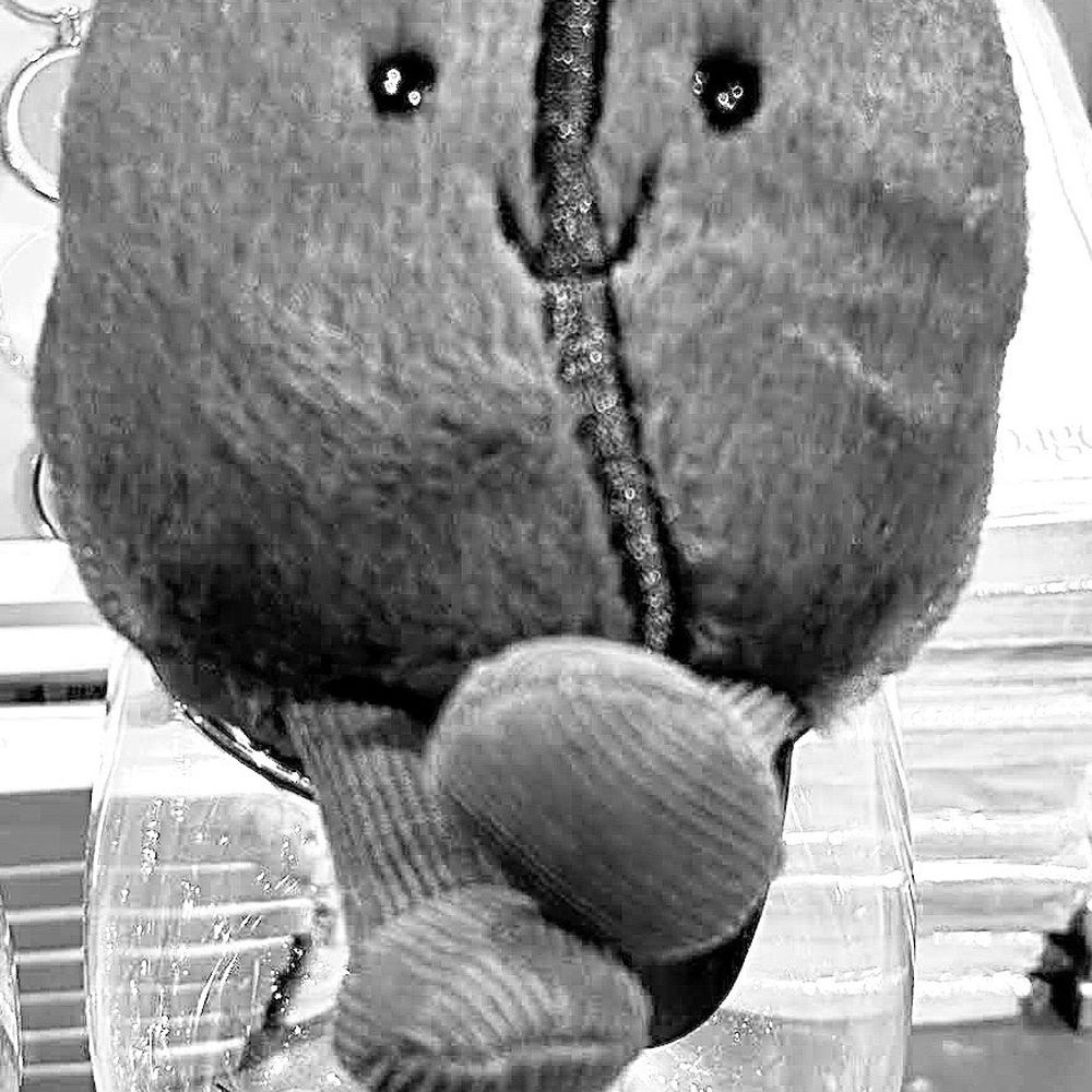 Indigo - Jellycat Cafecito bean - Bookstores Near Me - Vancouver, British Columbia Indigo - Jellycat Cafecito bean - Bookstores Near Me - Vancouver, British Columbia