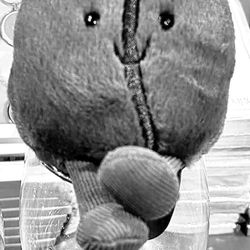 Indigo - Jellycat Cafecito bean