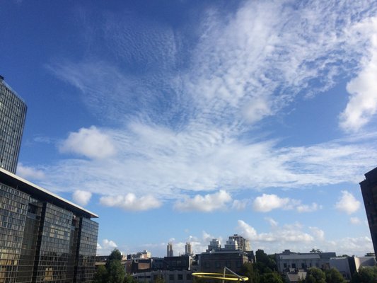 Central Park Mall by null