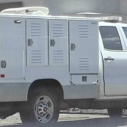 Washoe County Regional Animal Services - This agency was back again at the old terry motel on Victorian avenue at the same unit from earlier this year