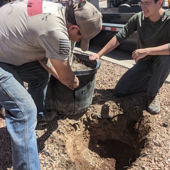 R&R Deliveries - Tree Services Near Me R&R Deliveries - Tree Services Near Me