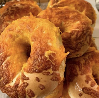 Philly Bagels by null