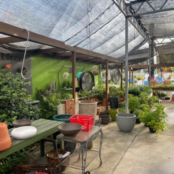 Bloom Garden Shop - Nurseries & Gardening Near Me - Tampa, Florida