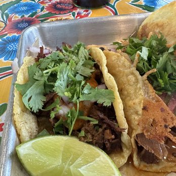 Saucy Chick Indi-Mex Eatery - Skirt Steak Asada Taco (1) - Indian Near Me - Pasadena, California