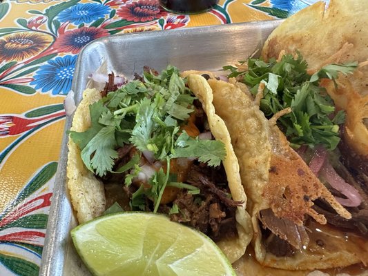 Saucy Chick Indi-Mex Eatery by null Saucy Chick Indi-Mex Eatery by null