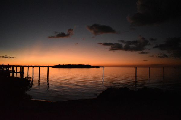 Mangrove Marina by null