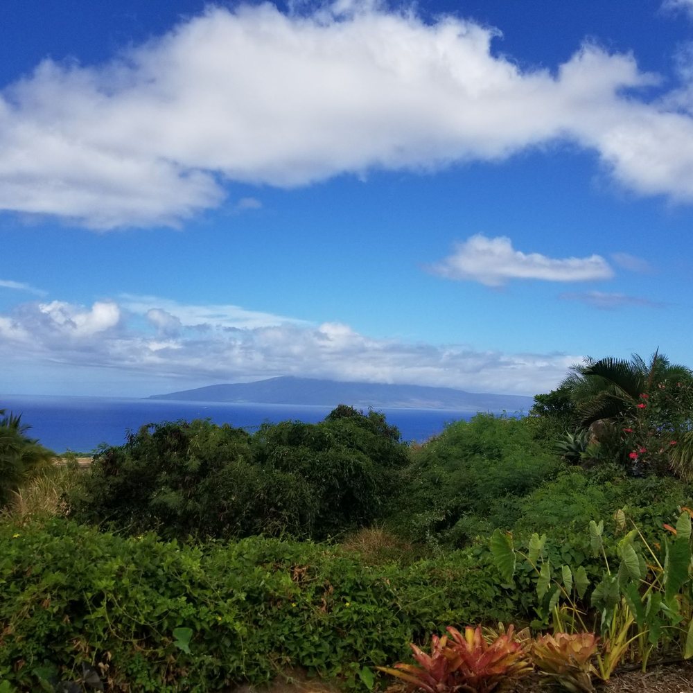 Punakea Palms - Tours Near Me - Lahaina, Hawaii Punakea Palms - Tours Near Me - Lahaina, Hawaii