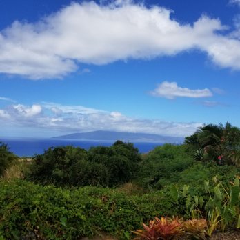Punakea Palms - Tours Near Me - Lahaina, Hawaii