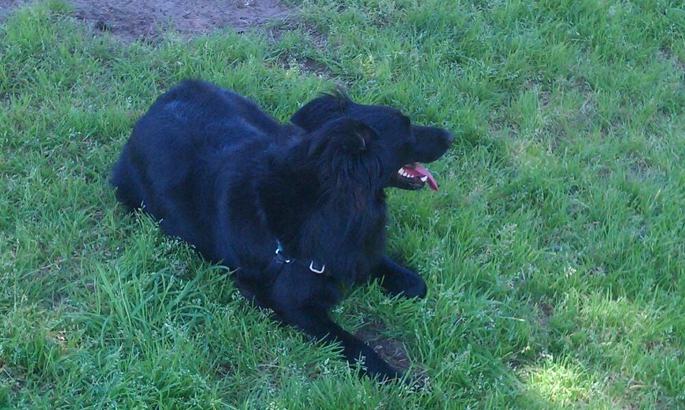 o Jupiter Florida Real Estate For Sale