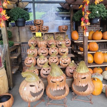 Wegmans - Pumpkins - Grocery Near Me - Depew, New York