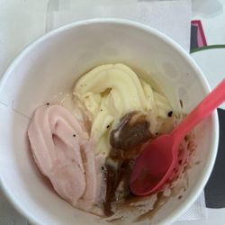 sweetFrog Premium Frozen Yogurt
