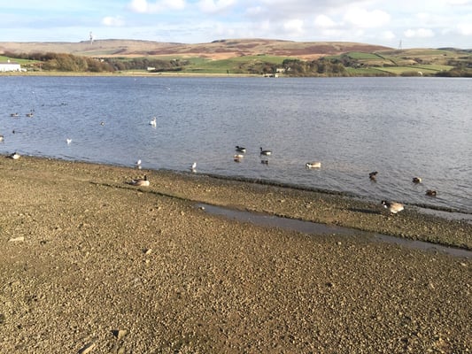 Hollingworth Lake by null