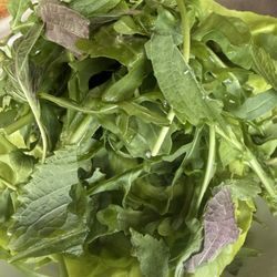 Bills Bondi - My dinner salad with yuzu/chile/salt dressing!