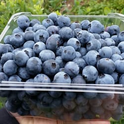 Underwood Ranches Produce
