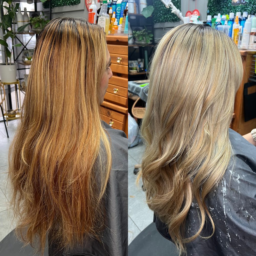 Shannon Elizabeth Hair Logo