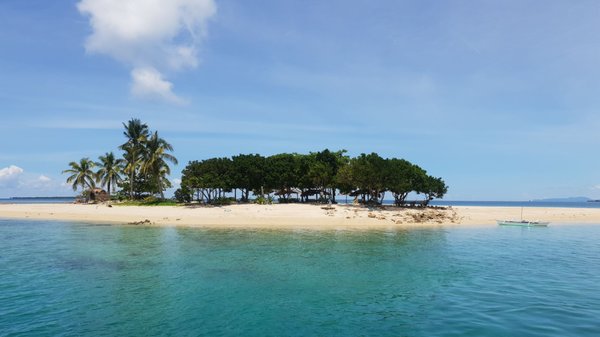 Dos Palmas Island Resort & Spa by null