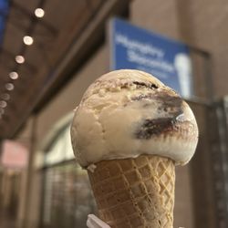 Peanut Butter Fudge Ripple Ice Cream