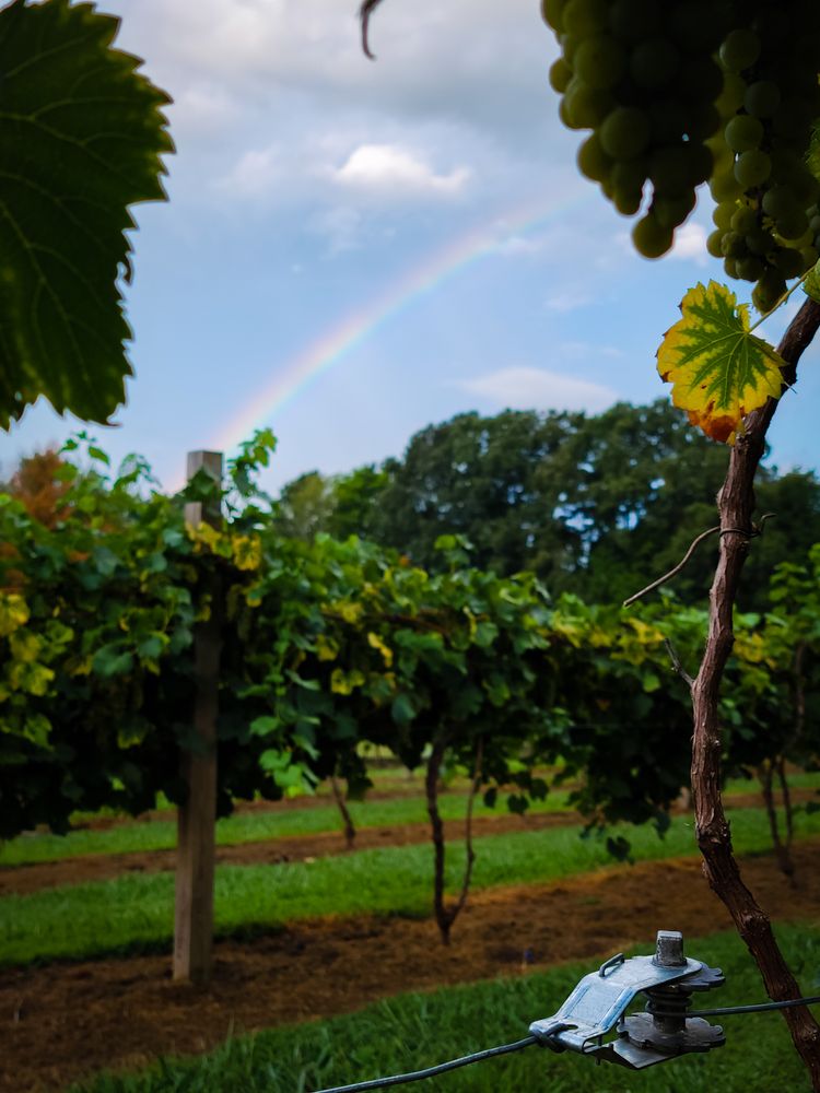 Social spots from Stillwaters Farm