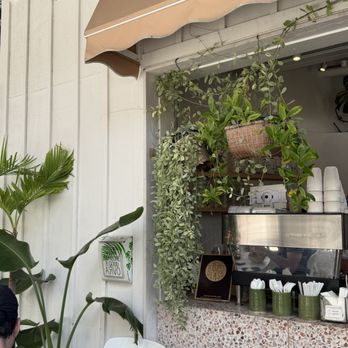 Arvo Café - Front - Cafes Near Me - Honolulu, Hawaii