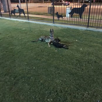 Riverwalk Dog Park - Dog Parks Near Me - Riverside, California Riverwalk Dog Park - Dog Parks Near Me - Riverside, California