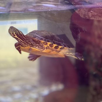 Petco - Pet Stores Near Me - Santa Fe, New Mexico