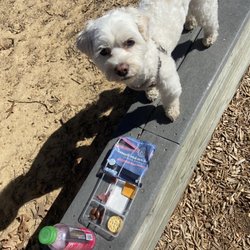 Cherry Creek Park